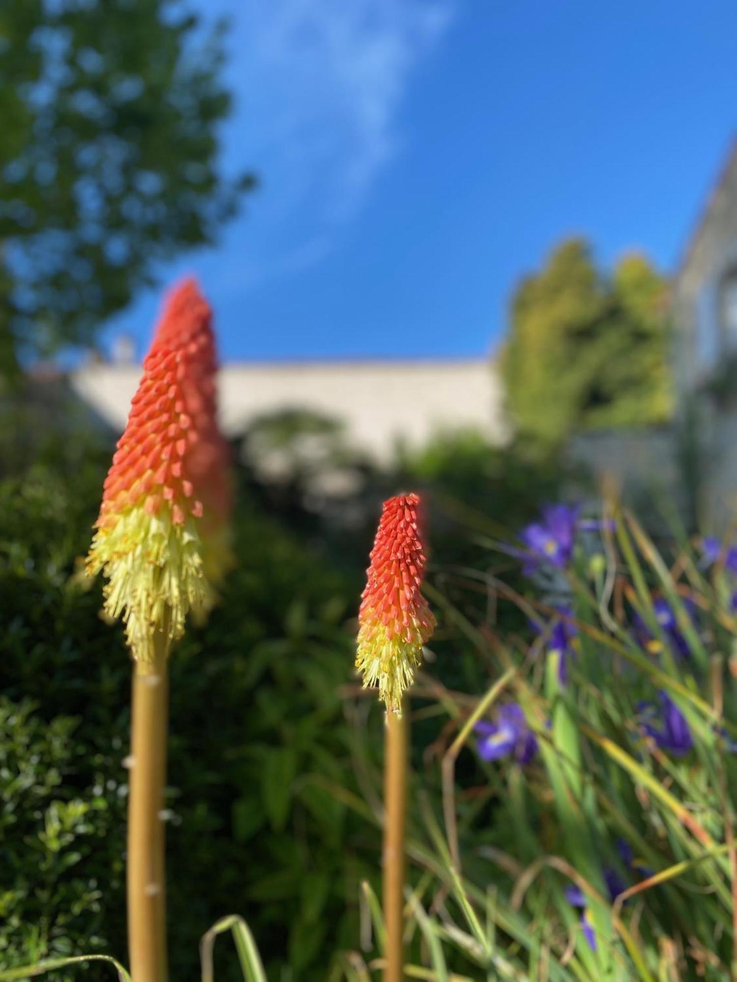 Aux Agapanthes, Chambres D'Hotes Charentaises De Charme Avec Piscine Aumagne Exterior foto