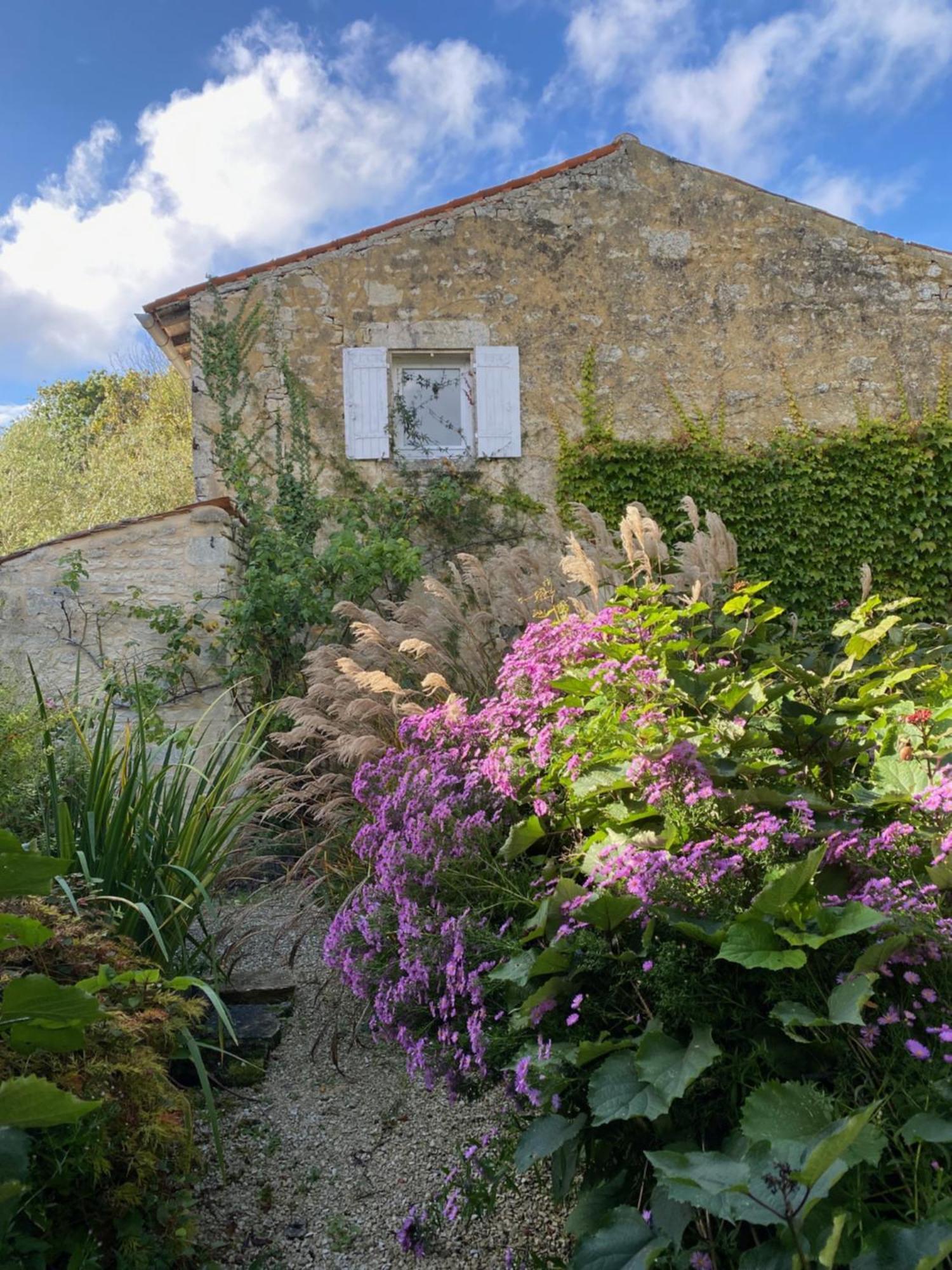 Aux Agapanthes, Chambres D'Hotes Charentaises De Charme Avec Piscine Aumagne Exterior foto